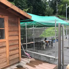 ドッグラン アンジュール