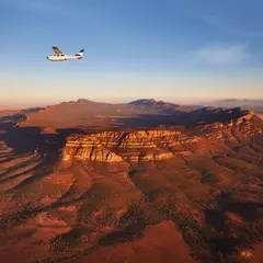 ウィルペナ・パウンド