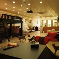 猫カフェ ぷちまりー仙台一番町店