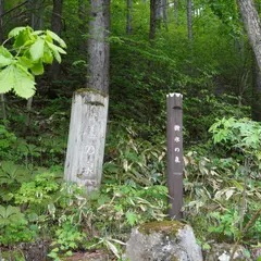 樹氷の泉