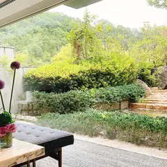 エレテギア