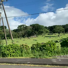 足摺巨石群 唐人駄場遺跡