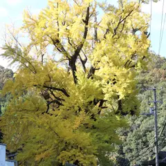 岩部八幡神社