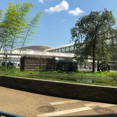 成田空港第３旅客ターミナル タクシー乗り場