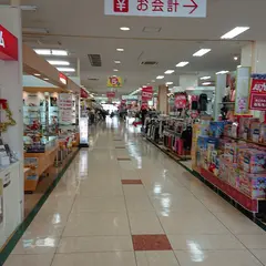 フジグラン野市