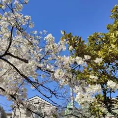 奥沢二丁目公園