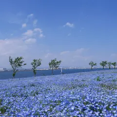 舞洲