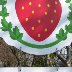モリヤマファーム（守山農園）