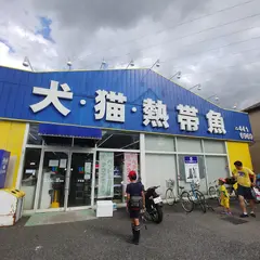 かねだい 戸田店