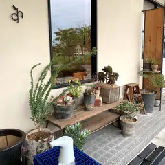 キャトルウール