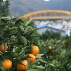 LOROfarm(ロロファーム)