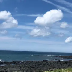 涯月(エウォル)ハンダム海岸道路/애월한담해안산책로