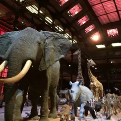 Muséum national d'Histoire naturelle（国立自然史博物館）