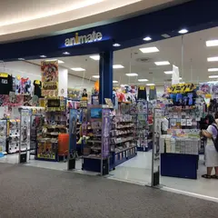 アニメイトｲｵﾝﾚｲｸﾀｳﾝ