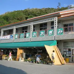 道の駅おおぎみ