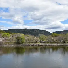 荒池園地