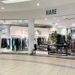 HARE