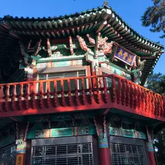 冬栢島(冬栢公園)/トンベッソム(トンベッコンウォン)/동백섬(동백공원)