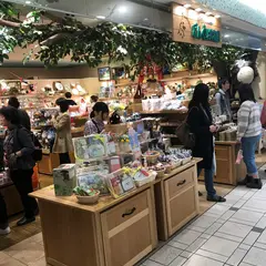 どんぐり共和国