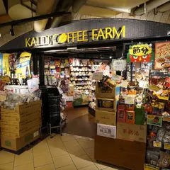 カルディコーヒーファーム 上野店