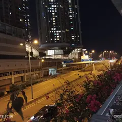 油麻地