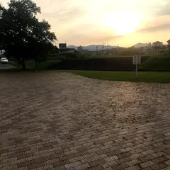 坪井遊水公園