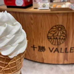 十勝VALLEYs (十勝バレーズ)