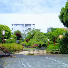 柳沢