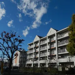 向原