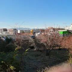 光町