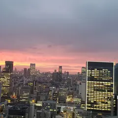 芝浦アイランドグローヴタワー