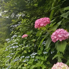 亀ケ谷坂切通