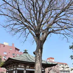 總持寺