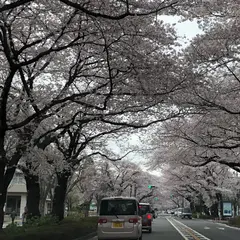 相模原