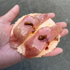 伊勢 牛若丸