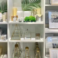 west elm