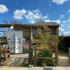 仏生山の森