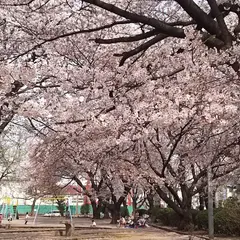 吉野公園