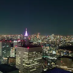新宿都庁南展望台