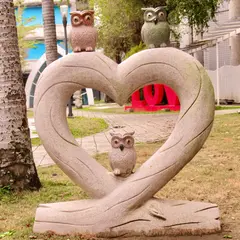 猫頭鷹小公園