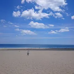 砂浜美術館