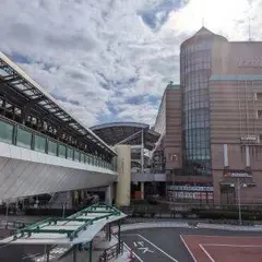 アムゼモール