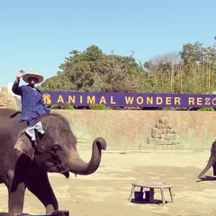 アニマルワンダーリゾウト（市原ぞうの国）