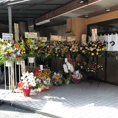 とんかつ 美濃屋