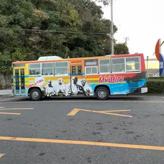 桂浜