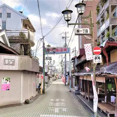 金魚ストリートin柳町商店街