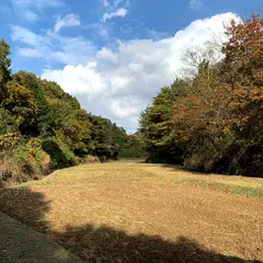 水田（房総のむら）
