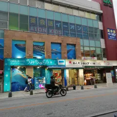 冲绳美之海水族馆 Umichurara