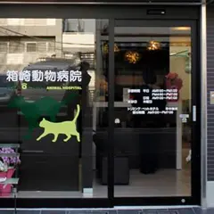 箱崎動物病院