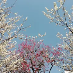 油面公園